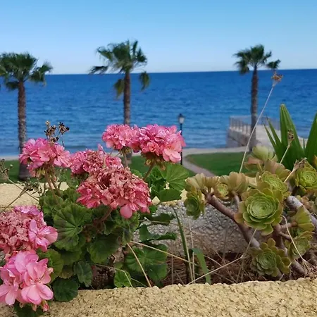 Magnificas Vistas Al Mar Apartment Oropesa del Mar Exterior photo
