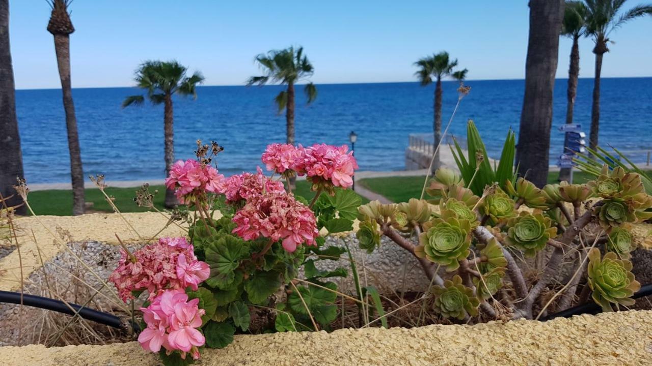 Magnificas Vistas Al Mar Apartment *